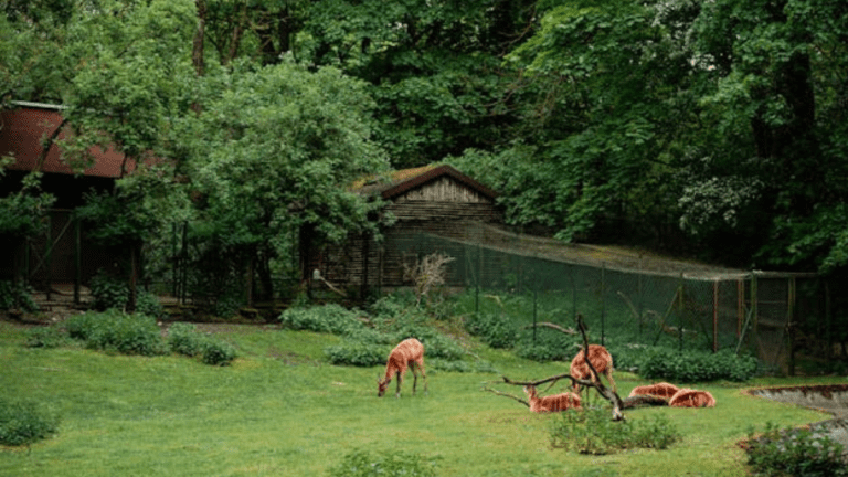 Safari Parks Pakistan