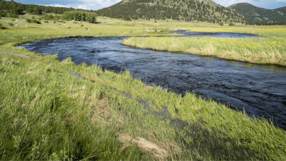 Deosai National Park
